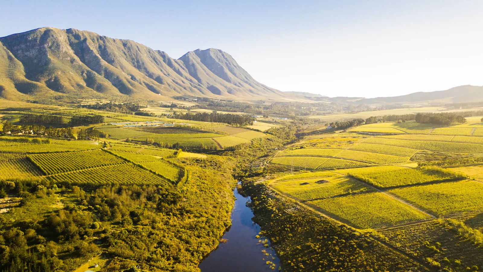 Hemel-en-Aarde Wine Valley vineyards with mountains, Hermanus